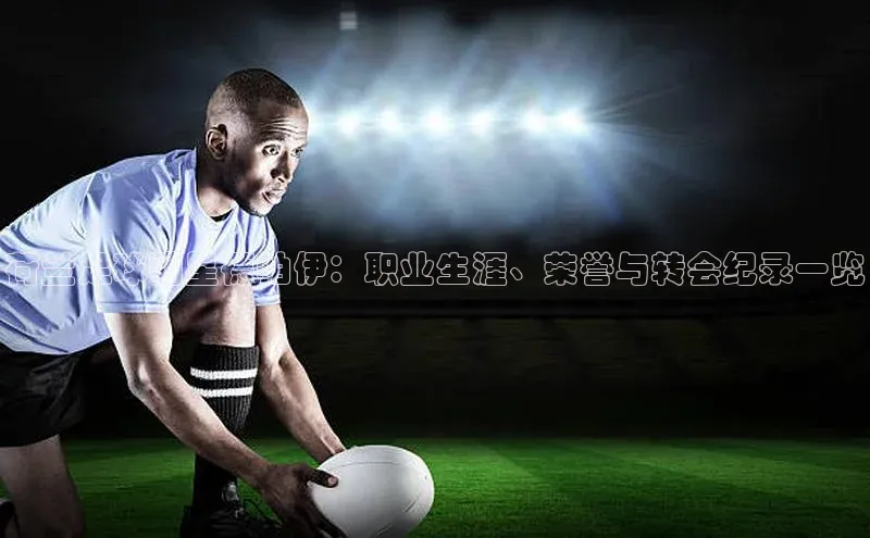 zyty中欧体育平台百度智能门户荷兰足球明星德帕伊：职业生涯、荣誉与转会纪录一览