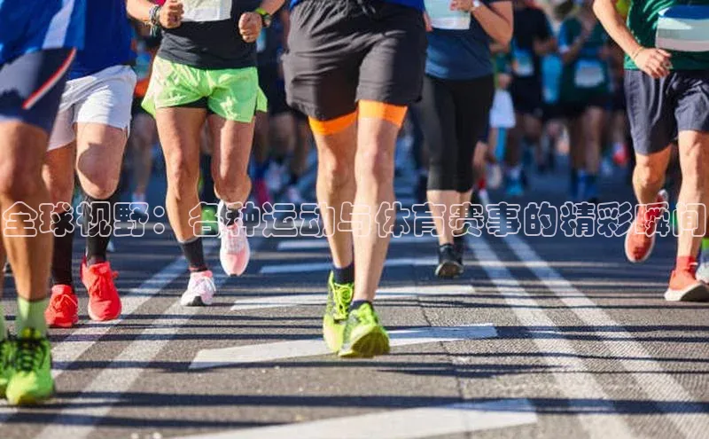 中欧体育官方网站链接诸葛科技全球视野：各种运动与体育赛事的精彩瞬间