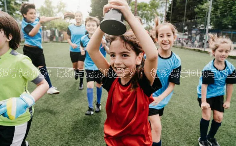 辽宁运动会：荣耀与竞技的盛宴——精彩赛事回顾与展望
