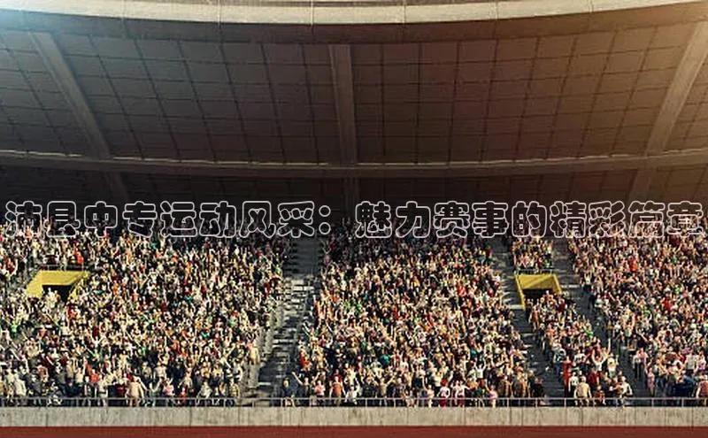 沛县中专运动风采：魅力赛事的精彩篇章