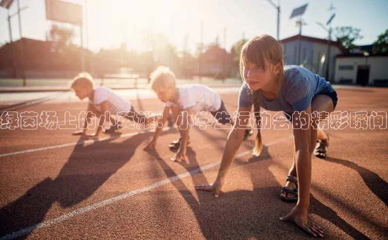 绿茵场上的小英雄：小学生运动会的精彩瞬间