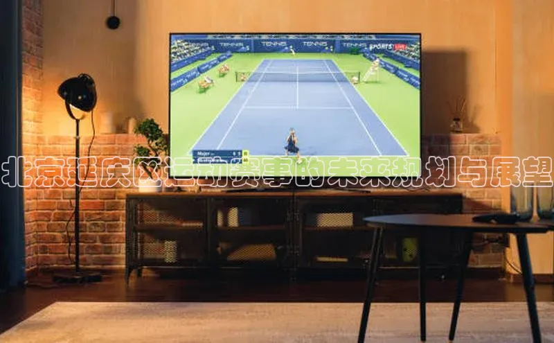 北京延庆区运动赛事的未来规划与展望