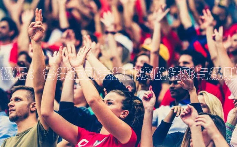 极限：各类运动竞技比赛的精彩与规则