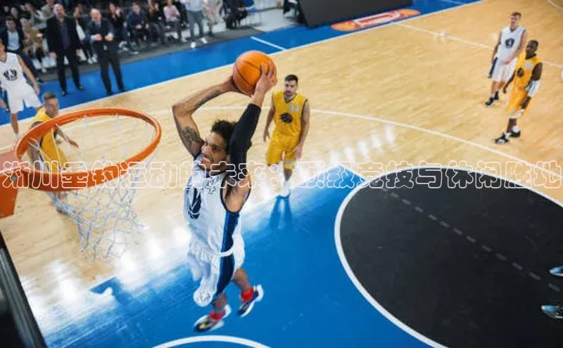 淅川垂钓运动的未来：顶级竞技与休闲胜地