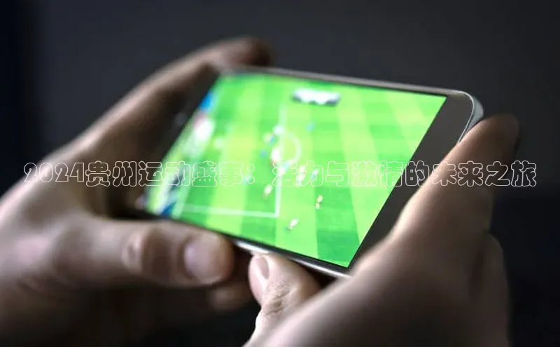 2024贵州运动盛事：活力与激情的未来之旅