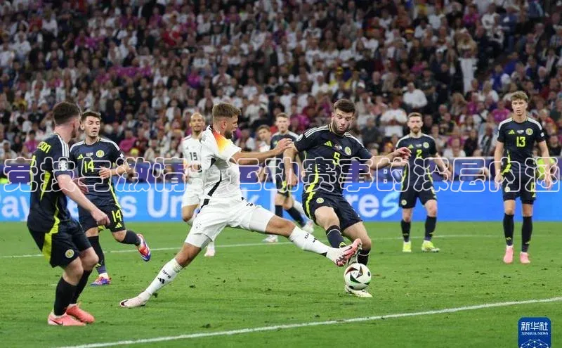 竞技与激情：运动赛事的深层内涵