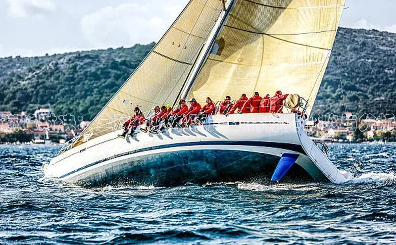 巅峰对决：全球顶级单项运动锦标赛概览与分析