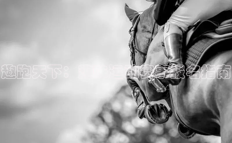 中欧体育app下载