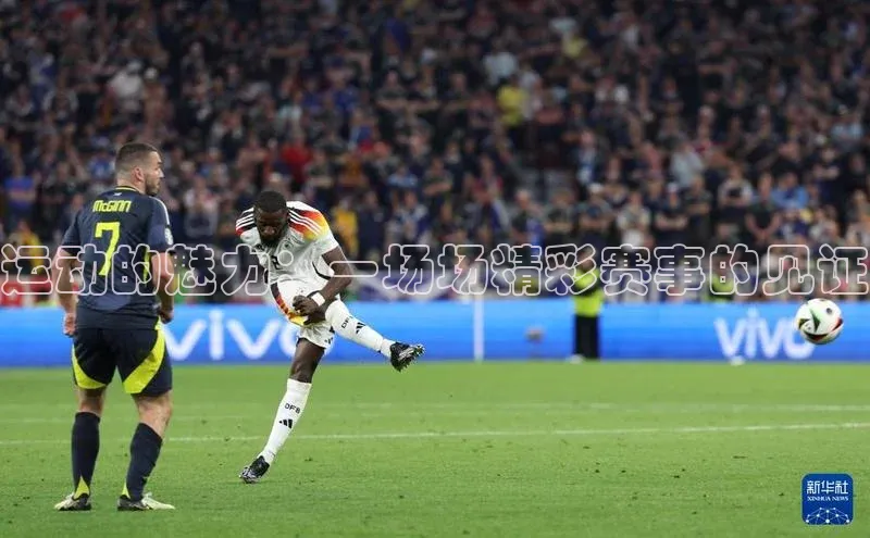 运动的魅力：一场场精彩赛事的见证
