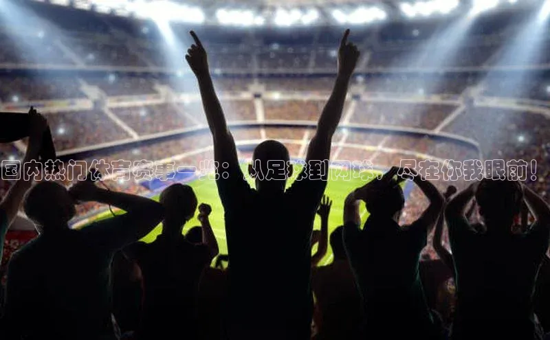 国内热门体育赛事一览：从足球到网球，尽在你我眼前！