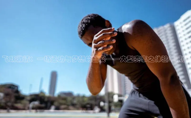 飞跃激情：一场运动与梦想的盛宴——大型赛事之体验与展望